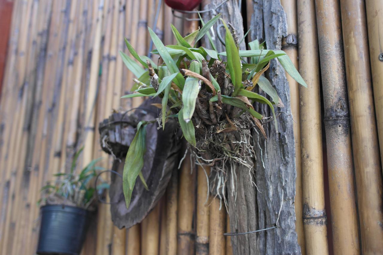 Baan Bangkok Home מראה חיצוני תמונה